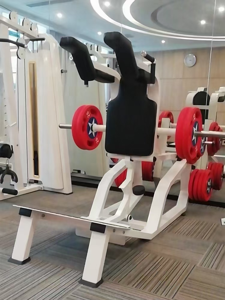 Verticale Hack Squat Machine X - Home Gym Quad Machine recensie en prijs