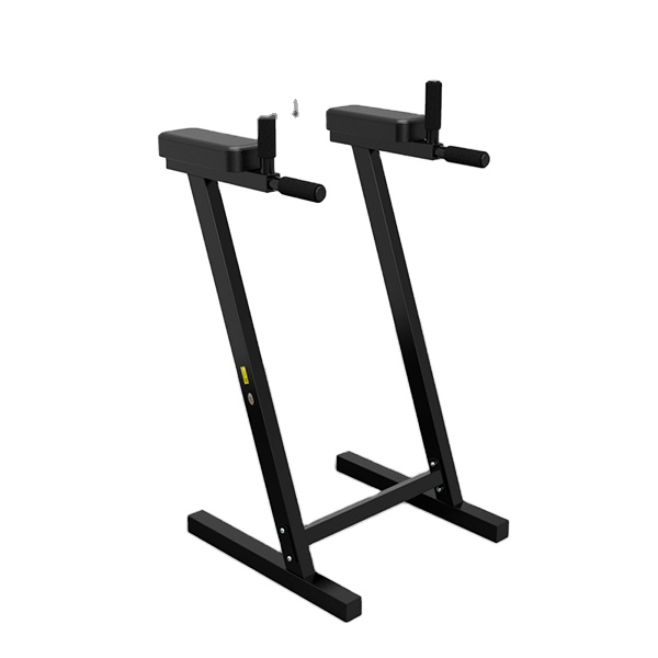 Verstelbare Parallelle Dip Bar - Dip Station Parallel recensie en prijs