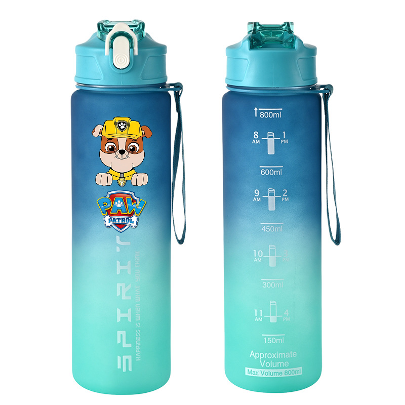 800ml PAW Patrol Sport Waterfl - Home Gym Room recensie en prijs