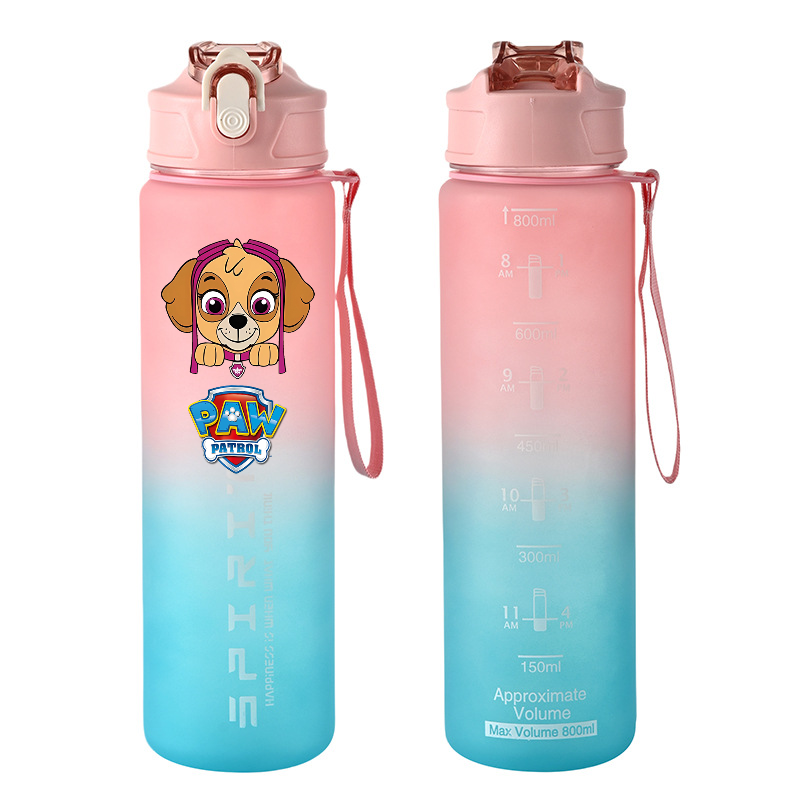 800ml PAW Patrol Sport Waterfl - Home Gym Room recensie en prijs
