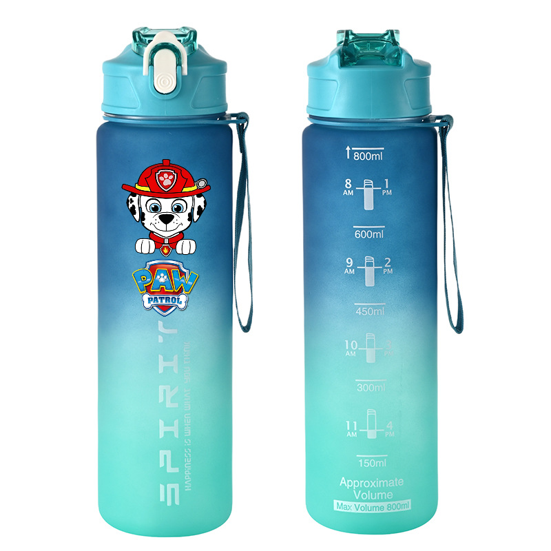 800ml PAW Patrol Sport Waterfl - Home Gym Room recensie en prijs