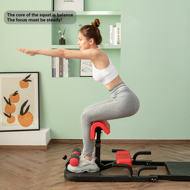 Sissy Squat Machine 3-in-1 Hom - Home Gym Quad Machine recensie en prijs