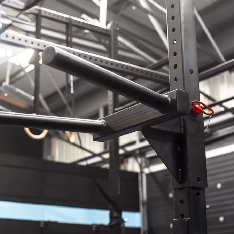 Verstelbaar Dipstation Power R - Dip Station Parallel recensie en prijs